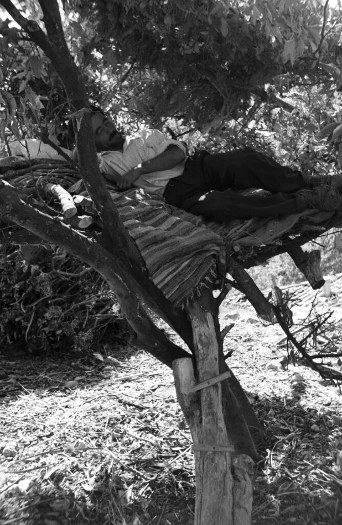 Στιγμιότυπο καθημερινής ζωής στη Λευκάδα τη δεκαετία του 1960 από το φωτογραφικό αρχείο του Fritz Berger για το ντοκιμαντέρ Στα ίχνη των στιγμών.